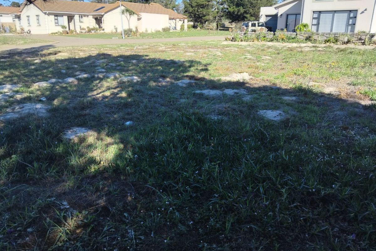 Vacant Land Residential For Sale in Albertinia Central - Photo 4