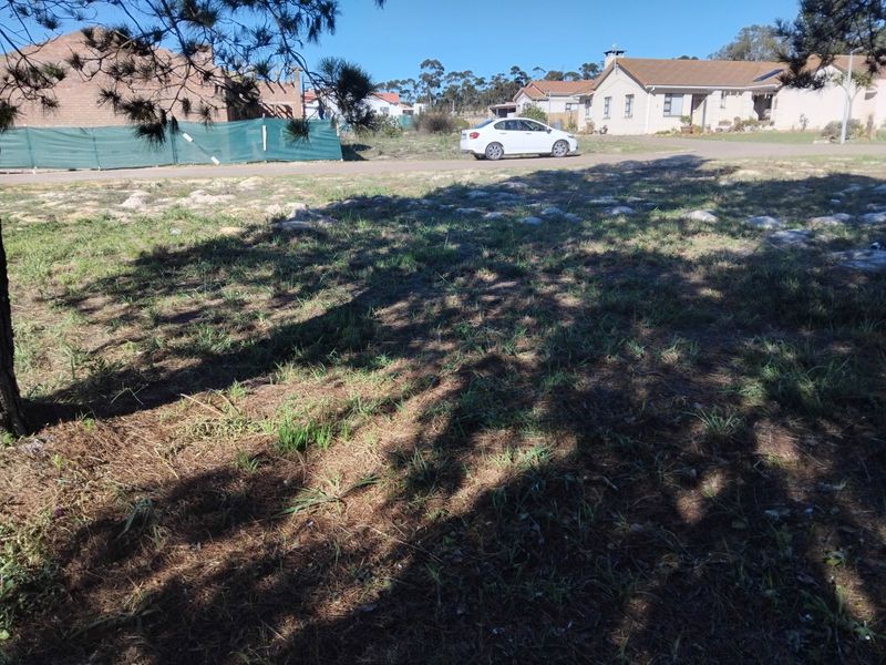 Vacant Land Residential For Sale in Albertinia Central - Photo 3