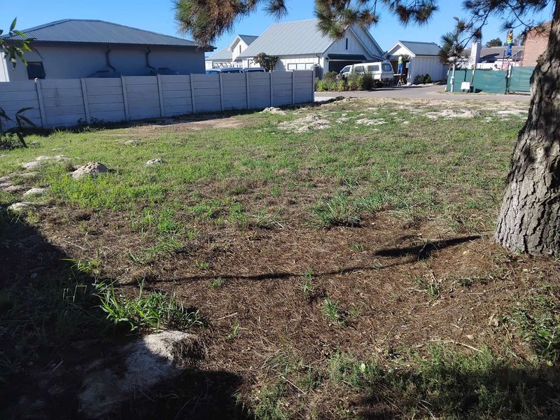 Vacant Land Residential For Sale in Albertinia Central - Photo 2