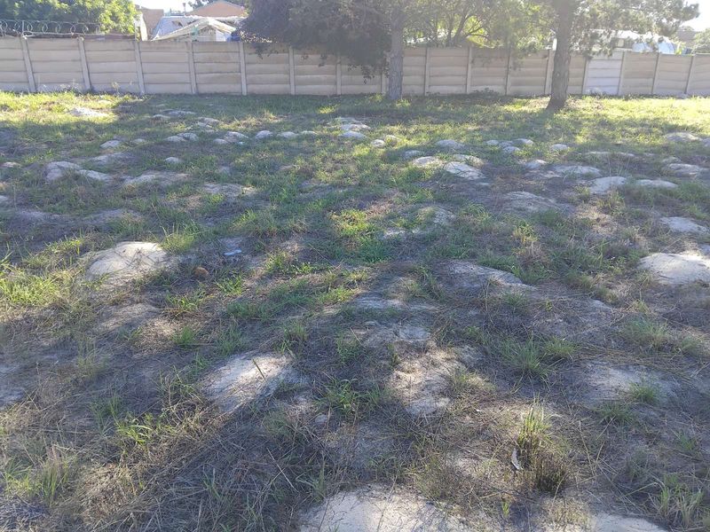 Vacant Land Residential For Sale in Albertinia Central - Photo 8