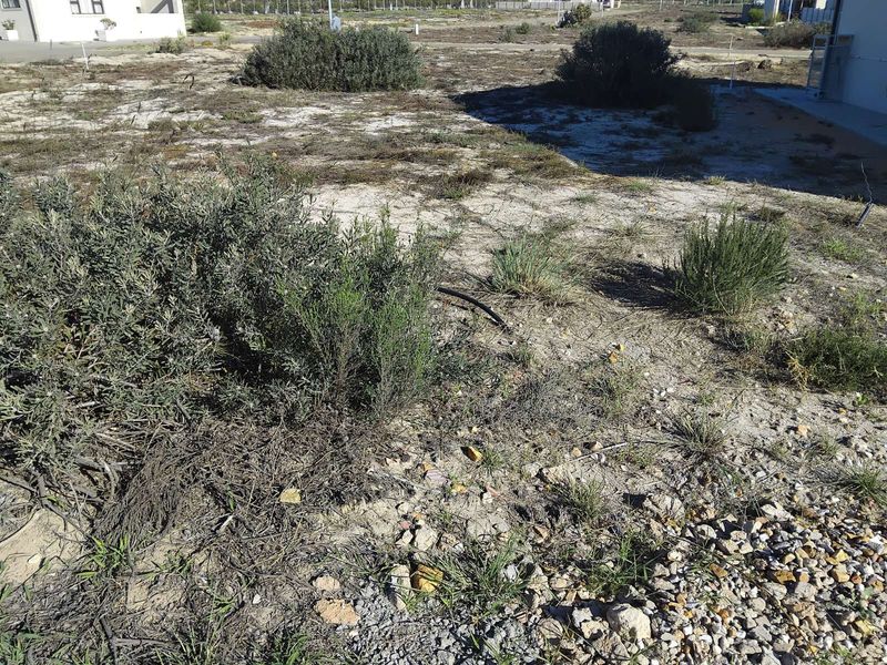 Vacant Land Residential For Sale in Albertinia Central - Photo 2