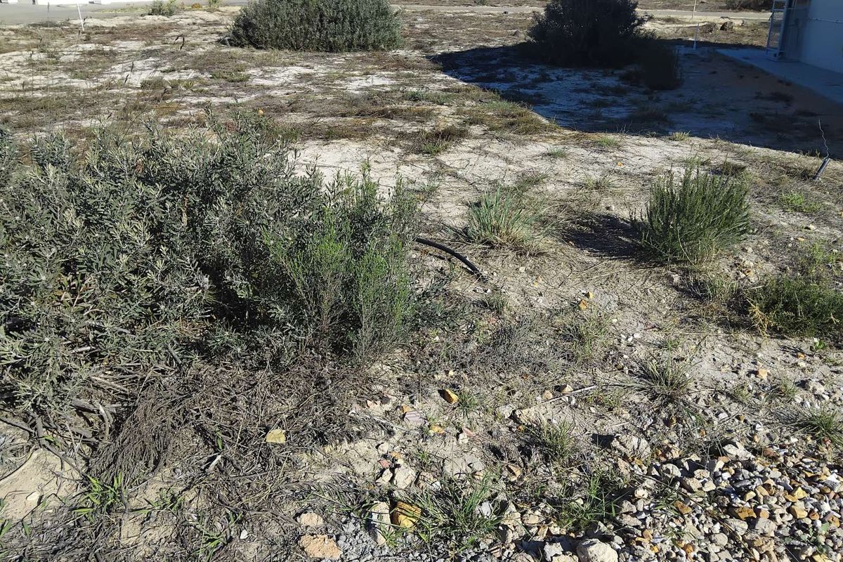 Vacant Land Residential For Sale in Albertinia Central - Photo 2