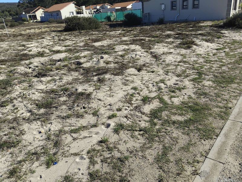 Vacant Land Residential For Sale in Albertinia Central - Photo 5