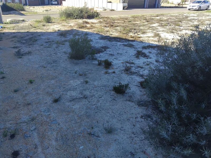 Vacant Land Residential For Sale in Albertinia Central - Photo 3