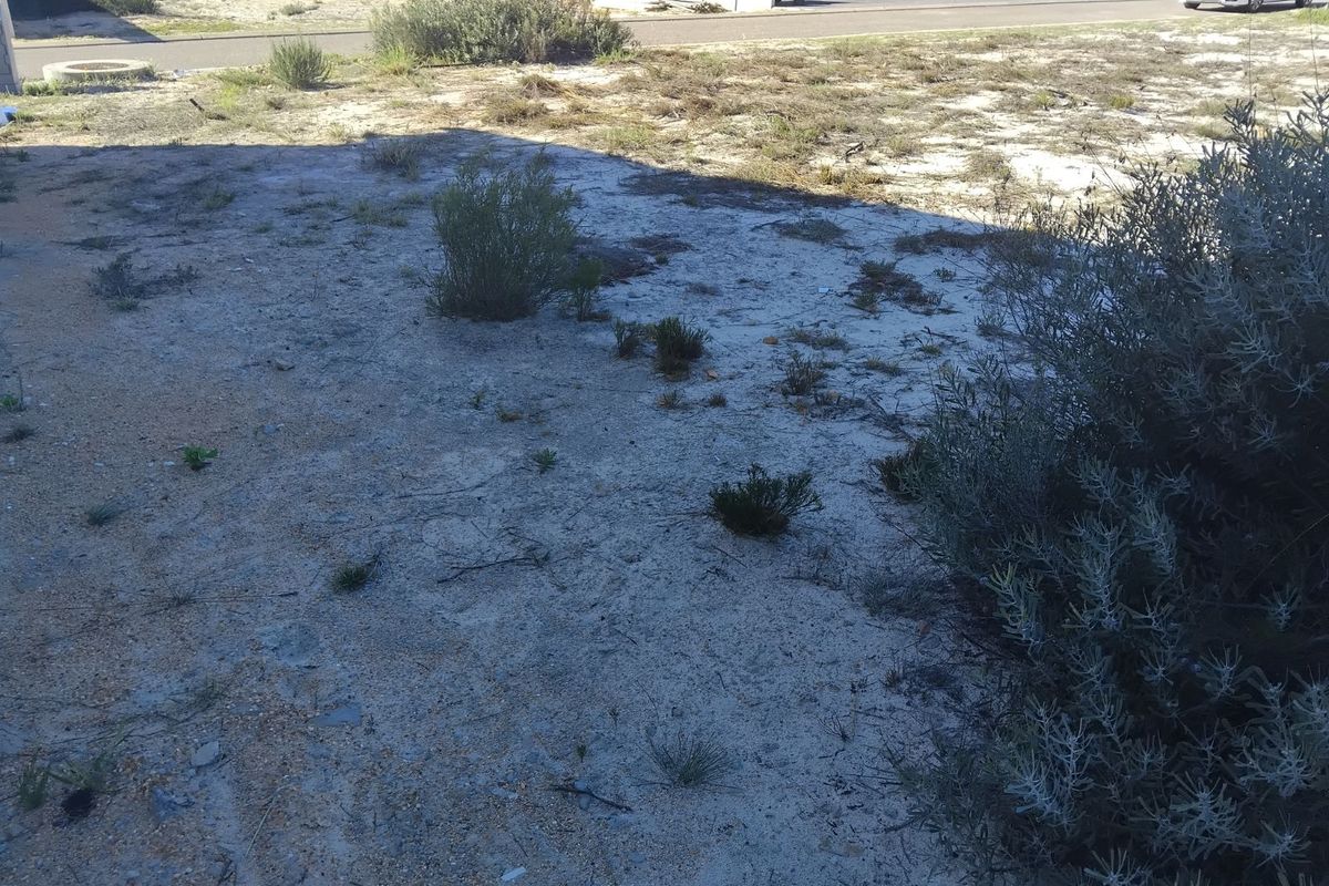 Vacant Land Residential For Sale in Albertinia Central - Photo 3