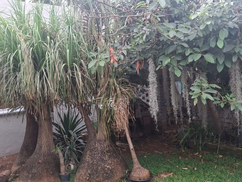 House For Sale in Pretoria Gardens - Photo 10