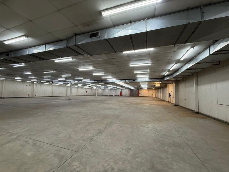 Industrial To Rent in Hermanstad - Photo 8