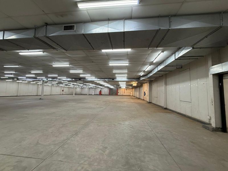 Industrial To Rent in Hermanstad - Photo 7