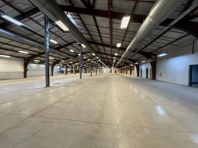 Industrial To Rent in Hermanstad - Photo 3