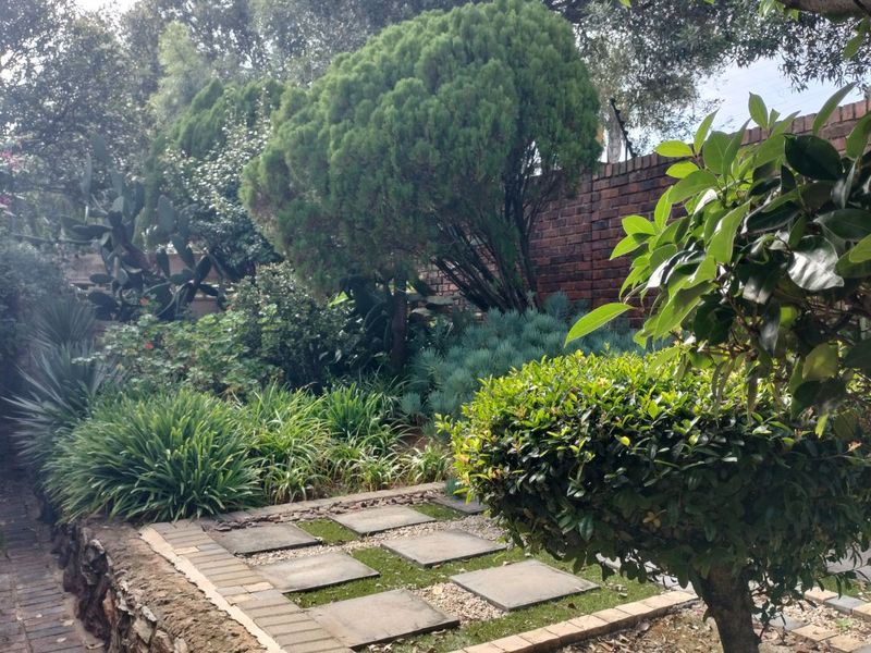 House For Sale in Wilro Park - Photo 6