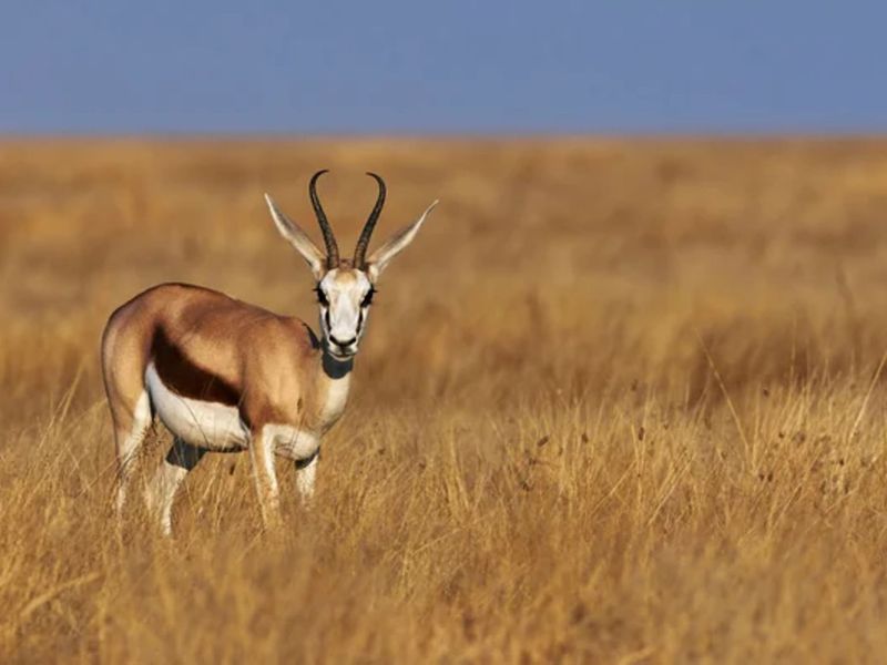 Vacant Land Residential For Sale in Vaal Marina Central - Photo 3