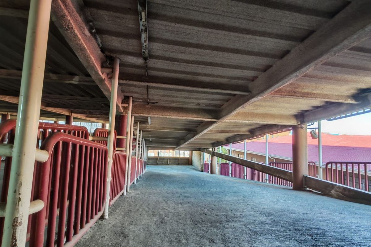 Office To Rent in Benoni Central - Photo 4