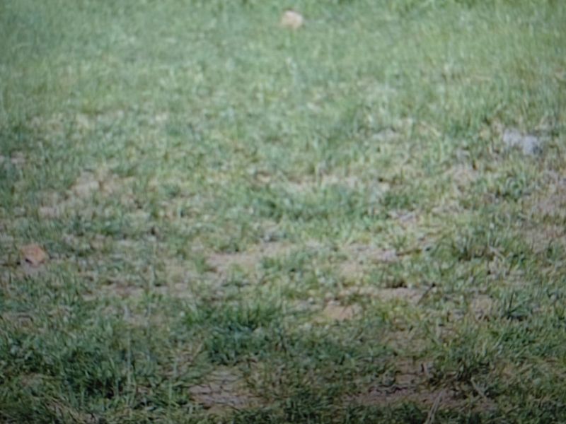 Vacant Land Residential For Sale in Woodhill Estate - Photo 3