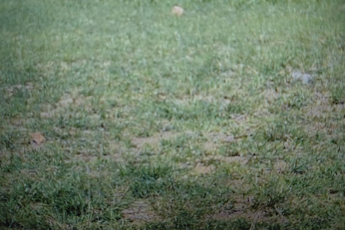 Vacant Land Residential For Sale in Woodhill Estate - Photo 3