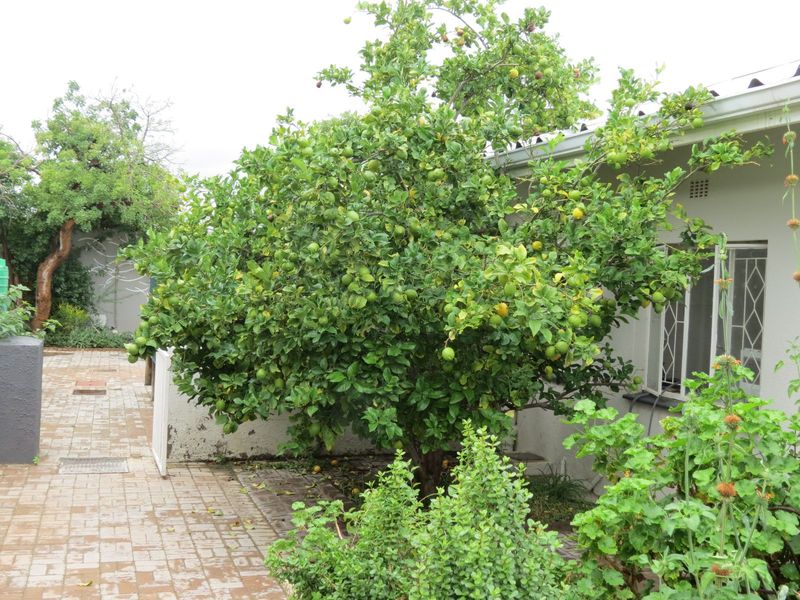 House For Sale in Prince Albert Central - Photo 5