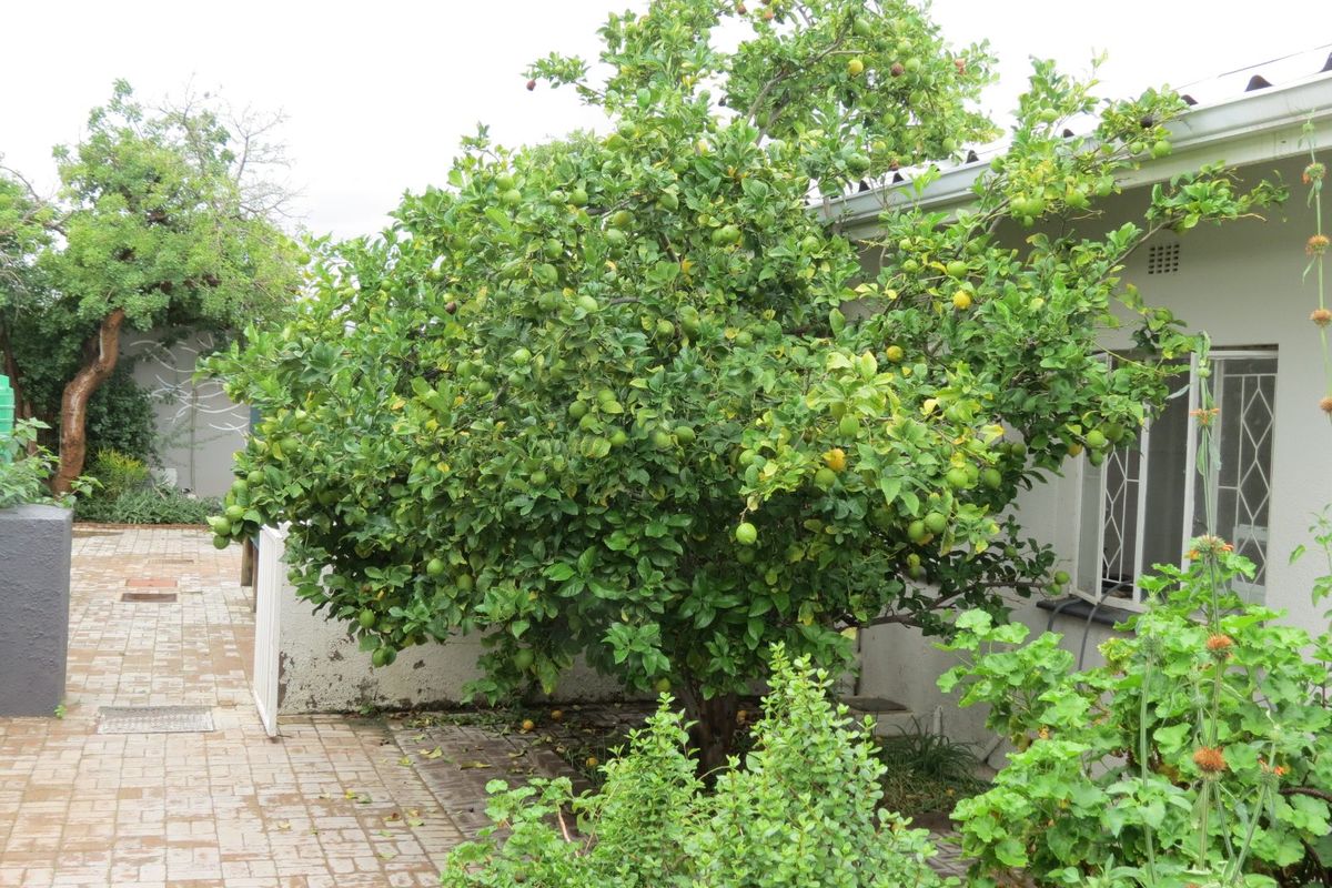 House For Sale in Prince Albert Central - Photo 5