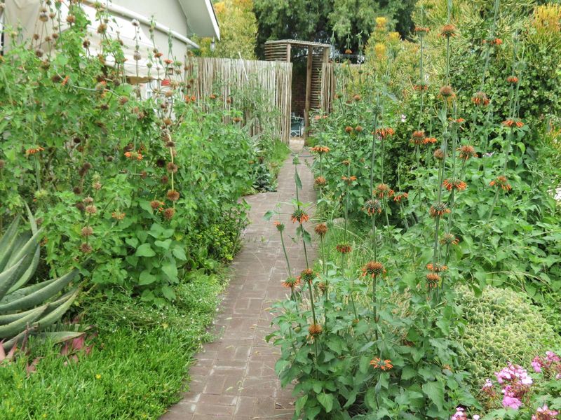 House For Sale in Prince Albert Central - Photo 6