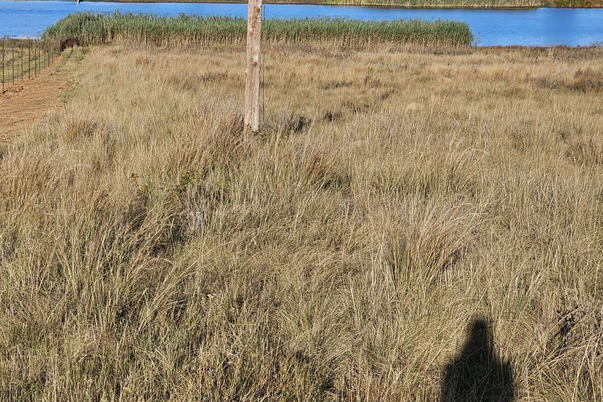 Vacant Land Residential For Sale in Naauwpoort - Photo 5