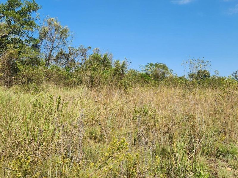 Farm For Sale in Lanseria - Photo 4