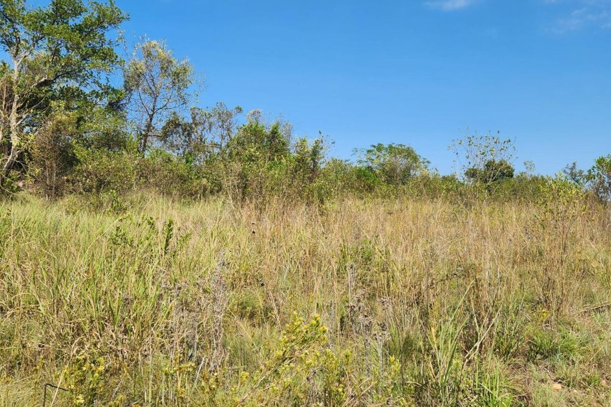 Farm For Sale in Lanseria - Photo 4