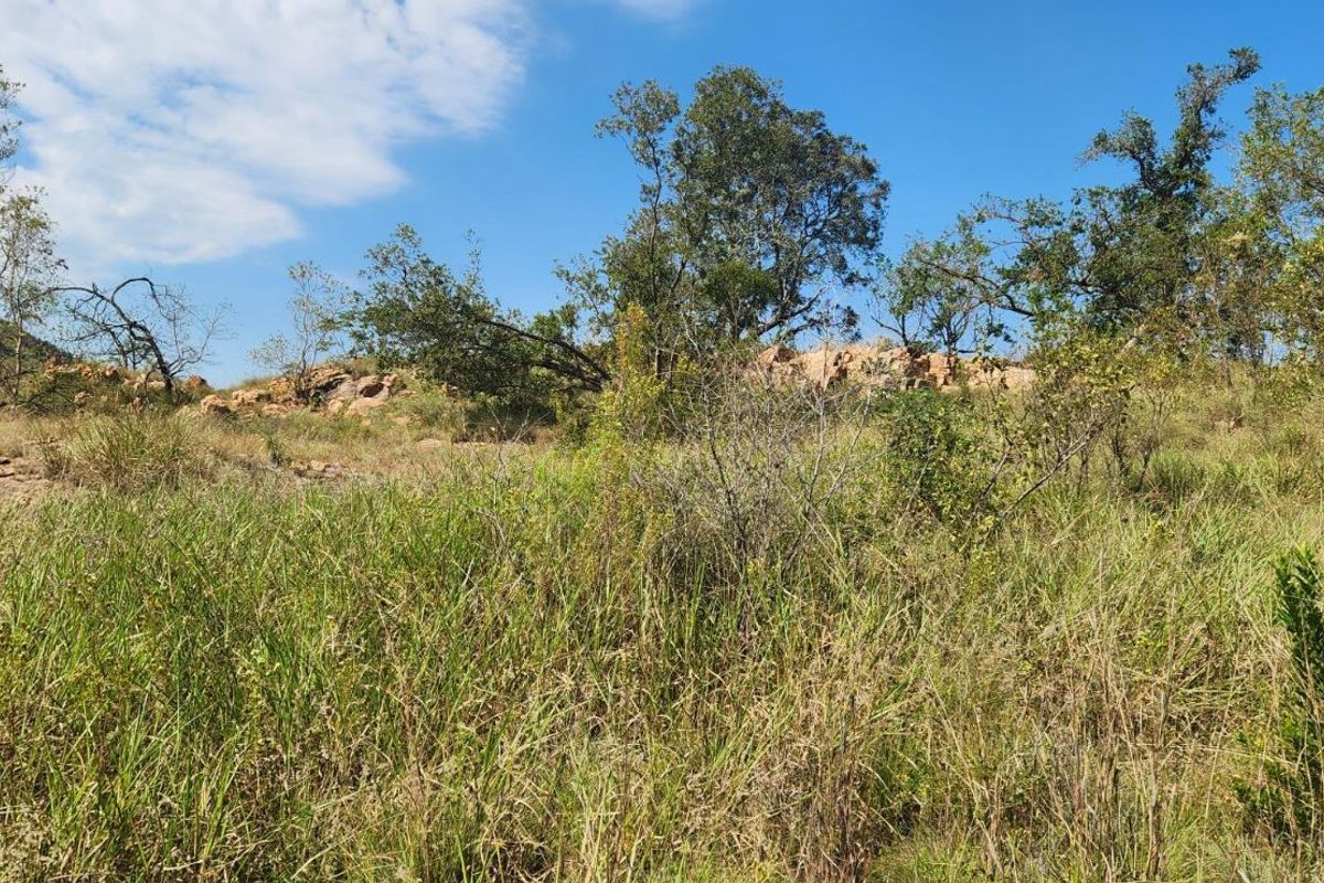 Farm For Sale in Lanseria - Photo 5