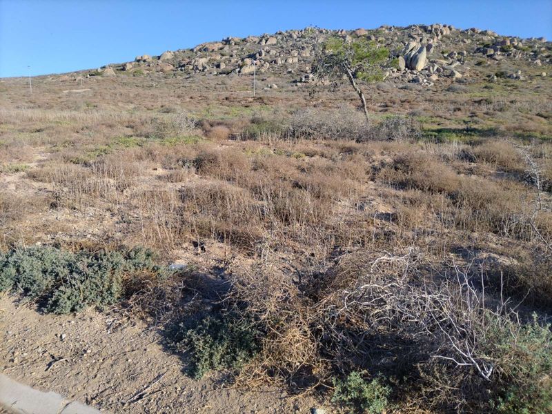 Vacant Land Residential For Sale in Steenbergs Cove - Photo 7