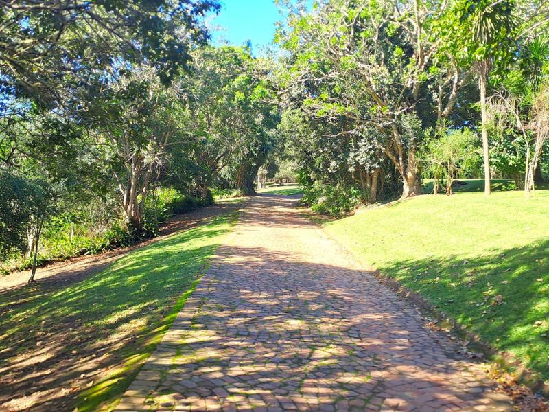 Farm For Sale in Wilderness Rural - Photo 3