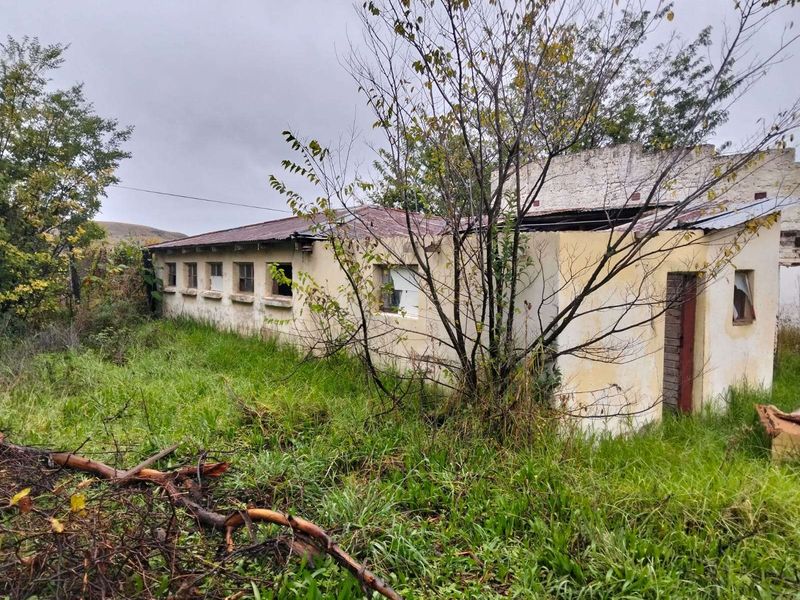 House For Sale in Kestell Central - Photo 9