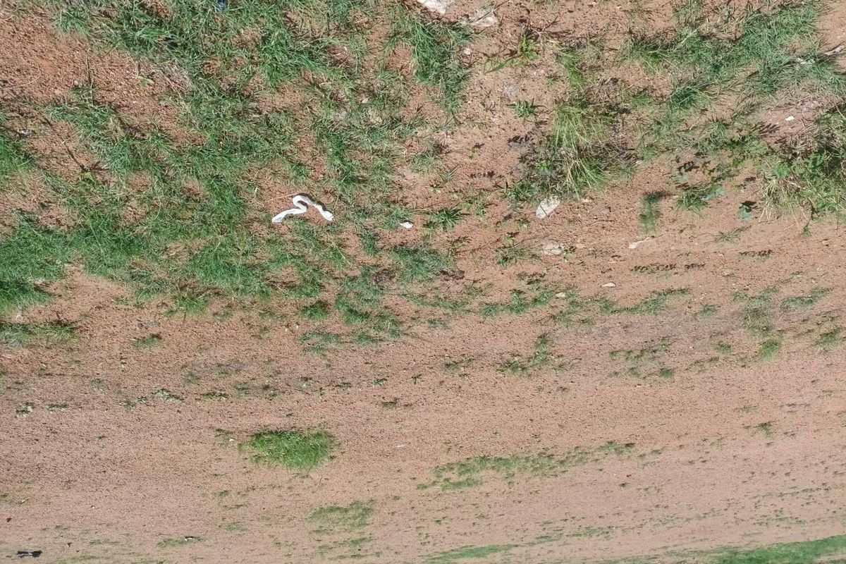 House For Sale in Mabopane Central - Photo 3