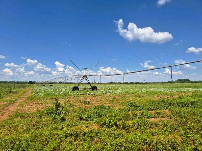 Farm For Sale in Wonderboom AH - Photo 9