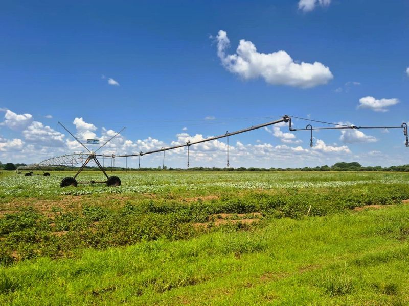 Farm For Sale in Wonderboom AH - Photo 4