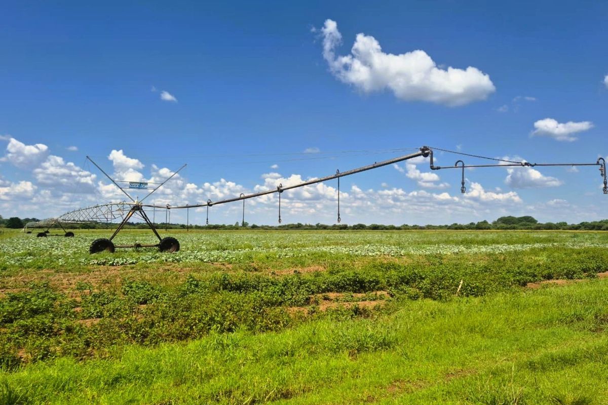 Farm For Sale in Wonderboom AH - Photo 4