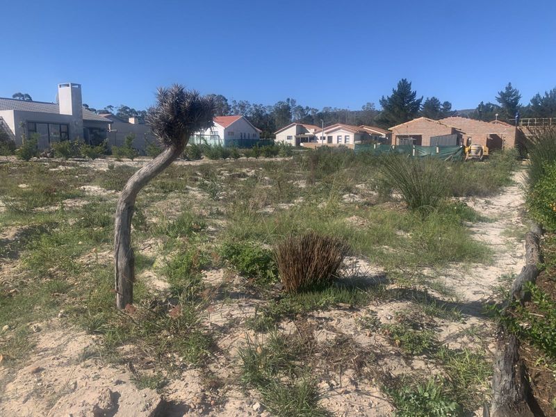 Vacant Land Residential For Sale in Albertinia Central - Photo 2