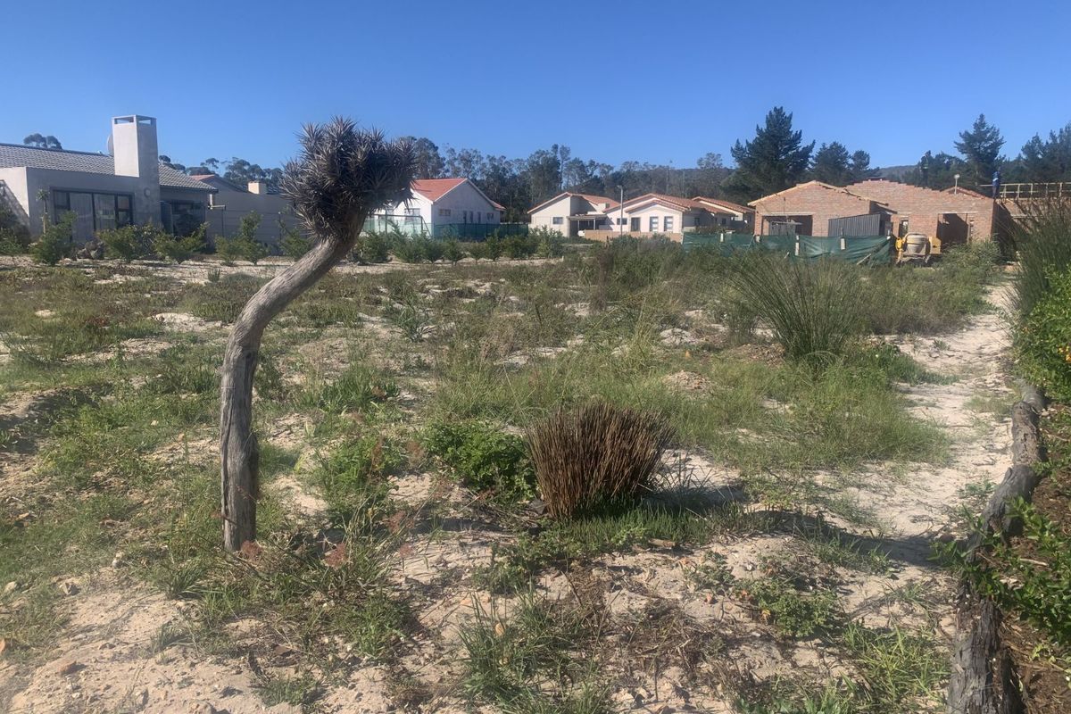 Vacant Land Residential For Sale in Albertinia Central - Photo 2