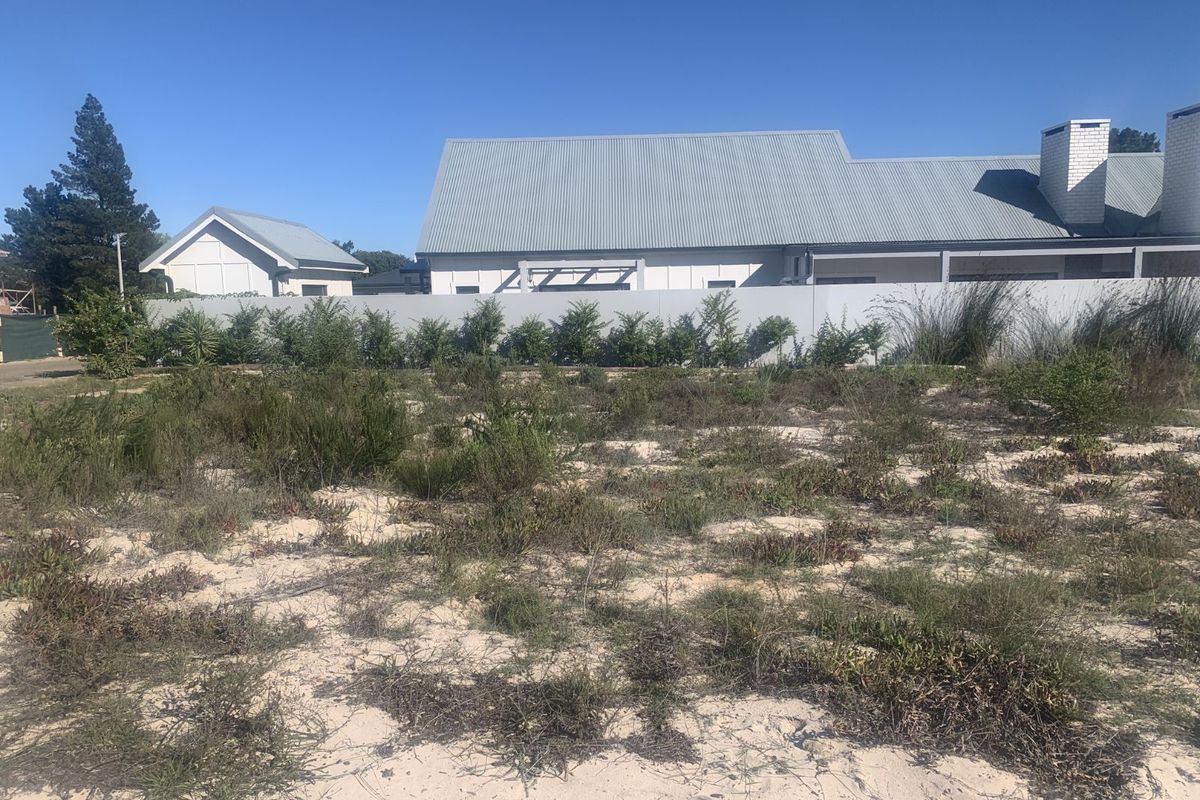 Vacant Land Residential For Sale in Albertinia Central - Photo 4