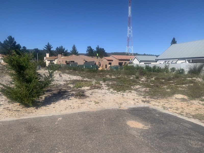 Vacant Land Residential For Sale in Albertinia Central - Photo 3