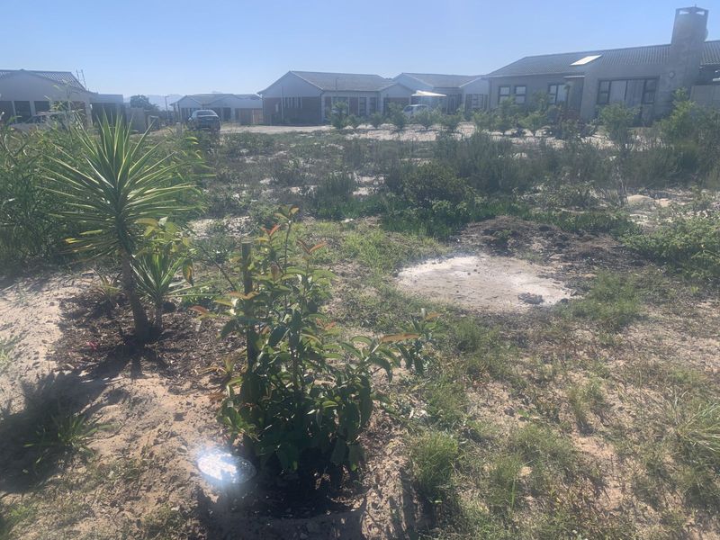 Vacant Land Residential For Sale in Albertinia Central - Photo 10