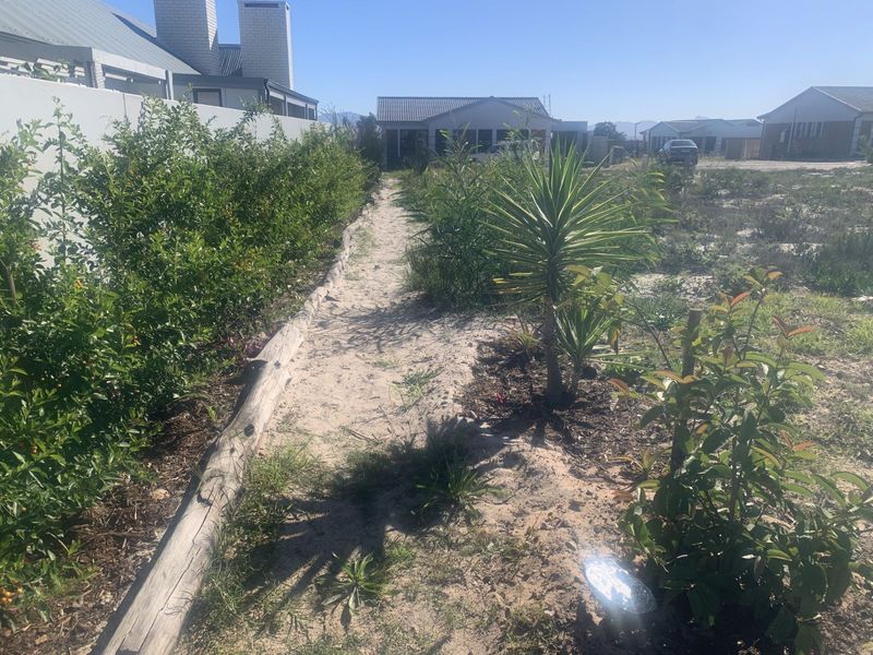 Vacant Land Residential For Sale in Albertinia Central - Photo 9