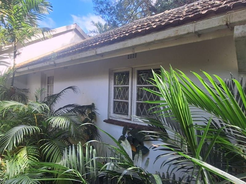 Farm For Sale in Monzi SH - Photo 2