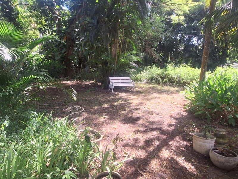 Farm For Sale in Monzi SH - Photo 4