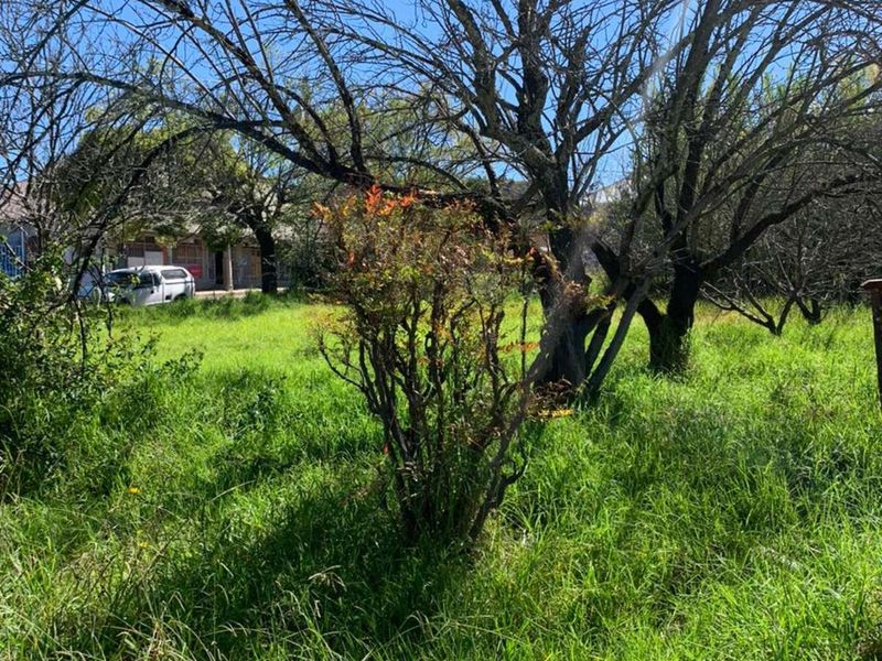 Vacant Land Residential For Sale in Kestell Central - Photo 3