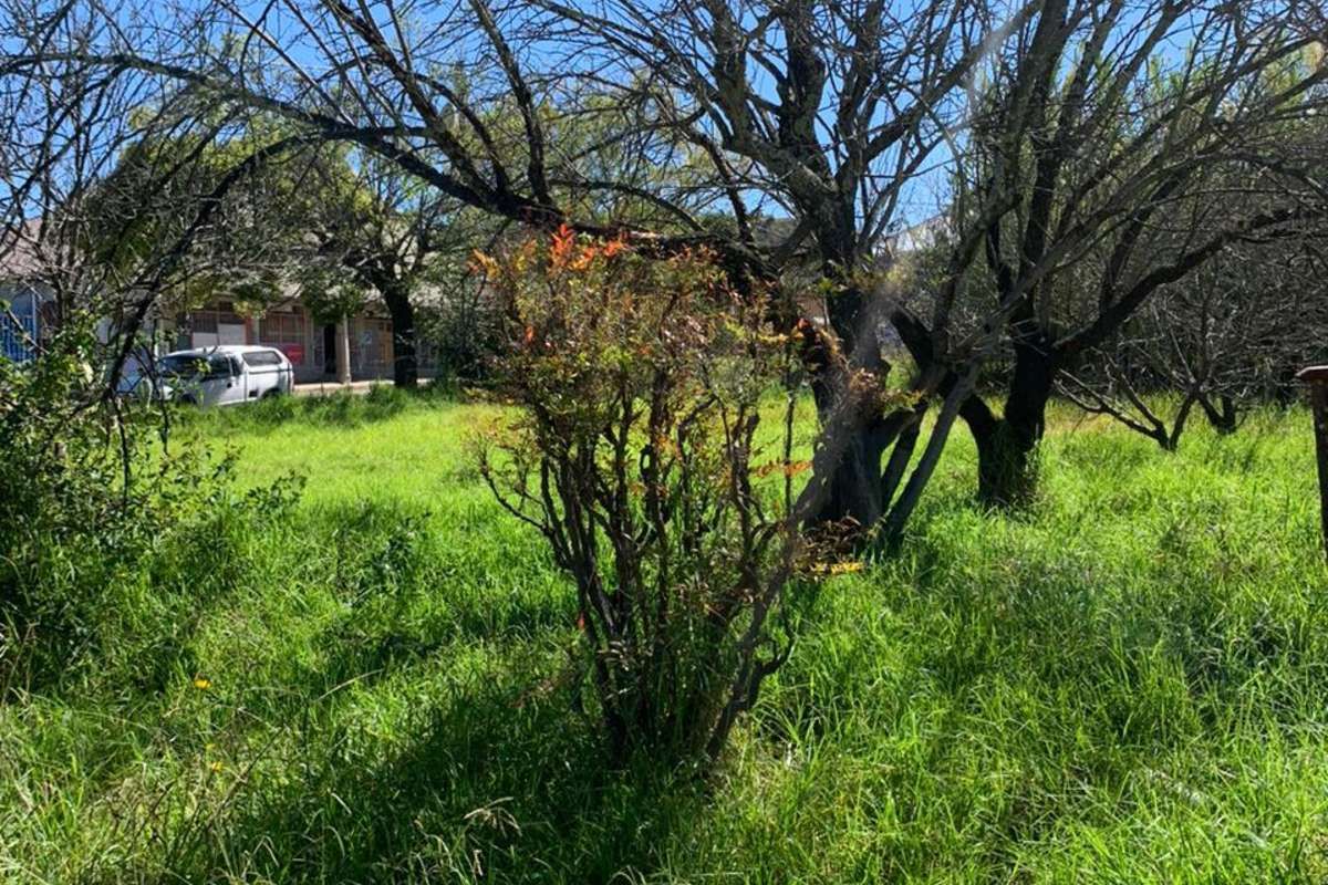 Vacant Land Residential For Sale in Kestell Central - Photo 3