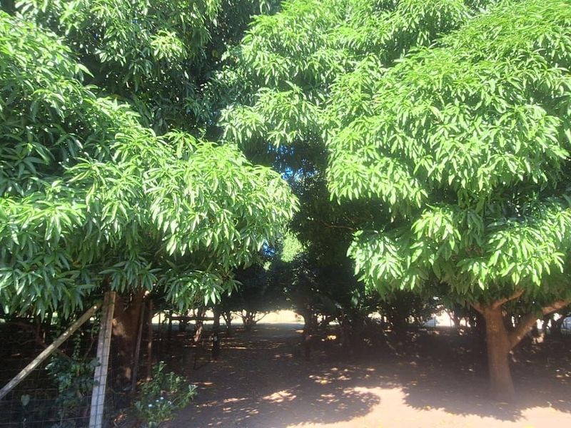 Farm For Sale in Hluhluwe Central - Photo 7