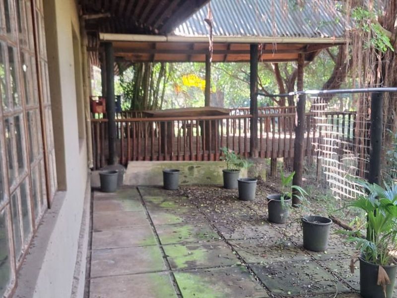 Farm For Sale in Hluhluwe Central - Photo 5