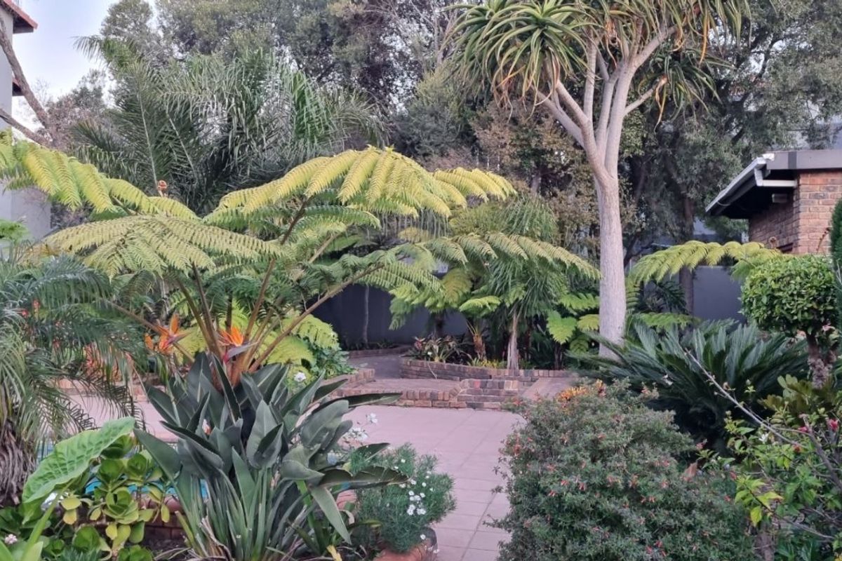 Apartment To Rent in Northgate - Photo 2