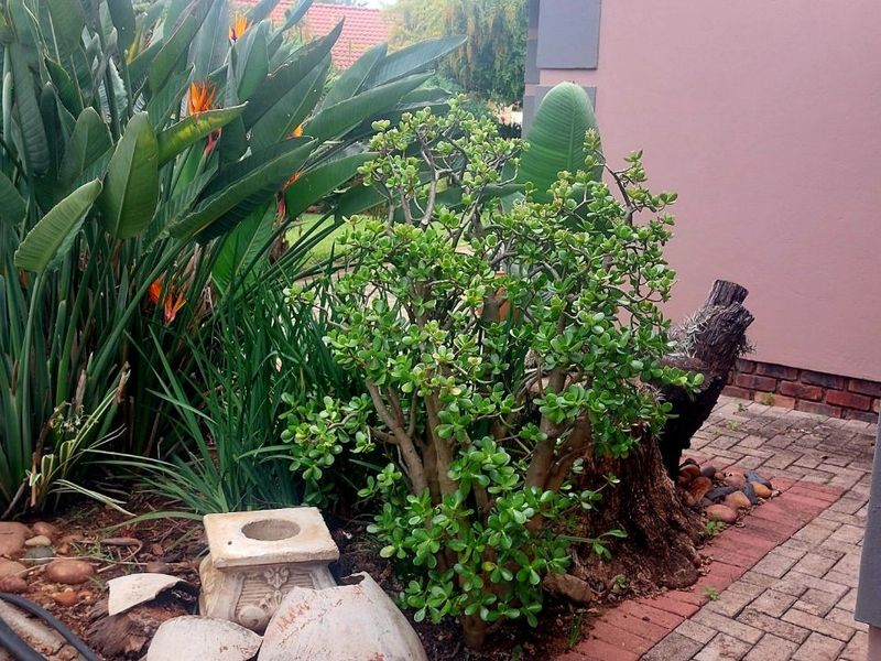 Townhouse For Sale in Polokwane Central - Photo 7