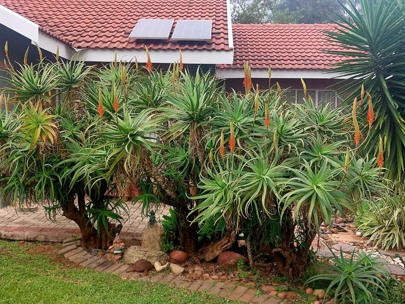 Townhouse For Sale in Polokwane Central - Photo 2
