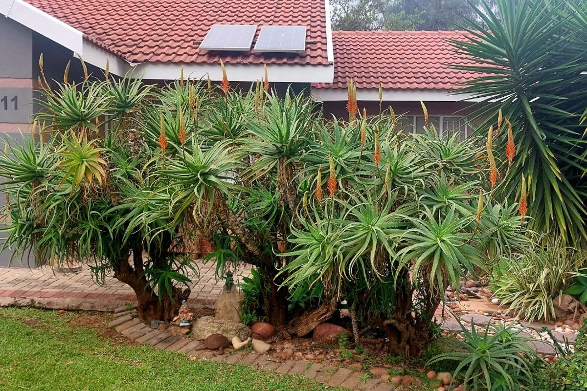 Townhouse For Sale in Polokwane Central - Photo 2