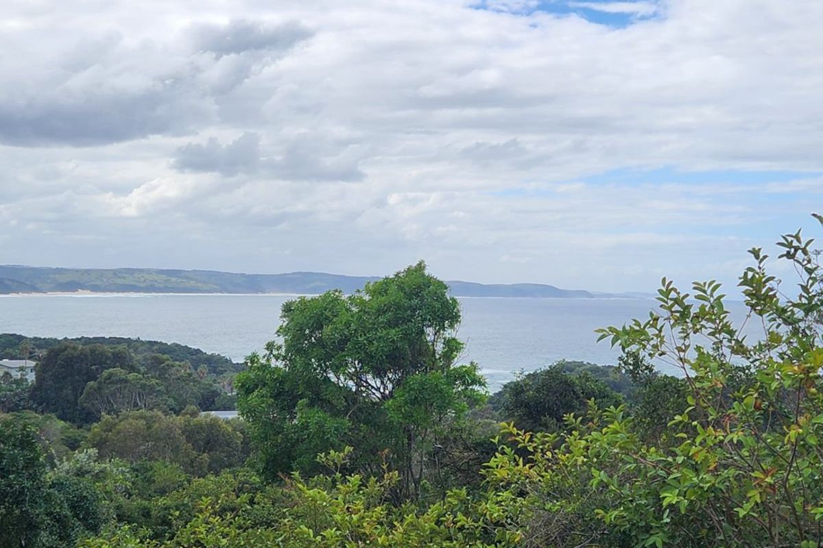 Vacant Land Residential For Sale in Khamanga Bay - Photo 4