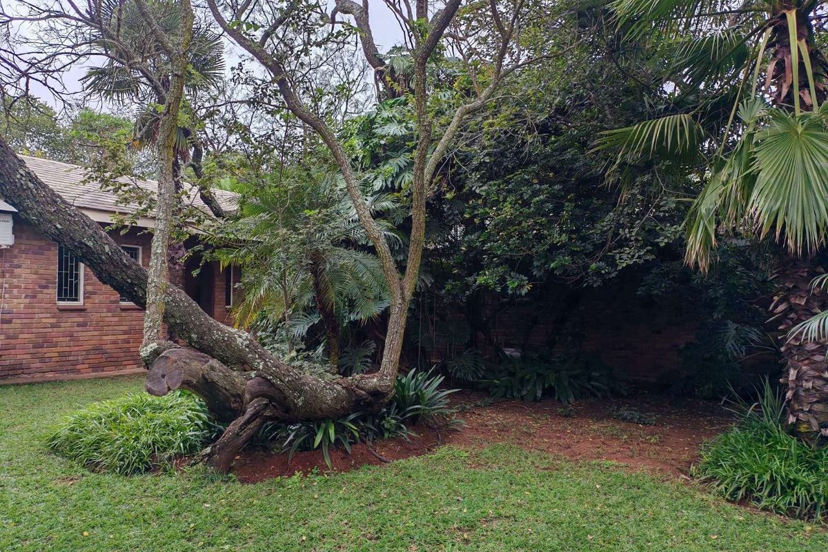 A view of the rear garden area featuring established trees, lush greenery, and a brick exterior wall of the house.